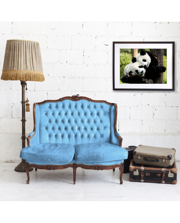 Pareja de osos panda