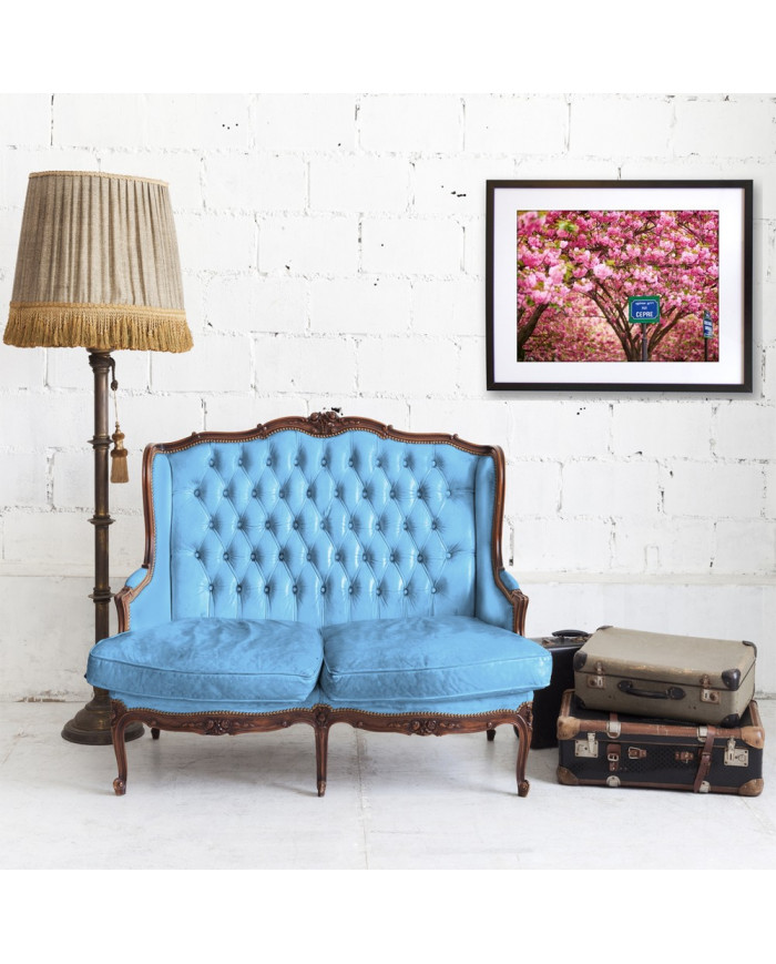 Calle de París en primavera