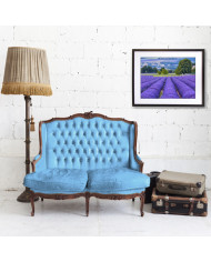 Prados de lavanda, Provenza, Francia