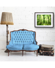 Luz entre árboles, Filipinas