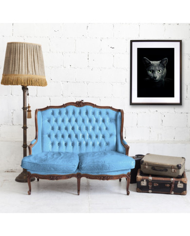 Retrato de un gato Retrato de un gato