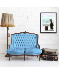 La mirada del gato II