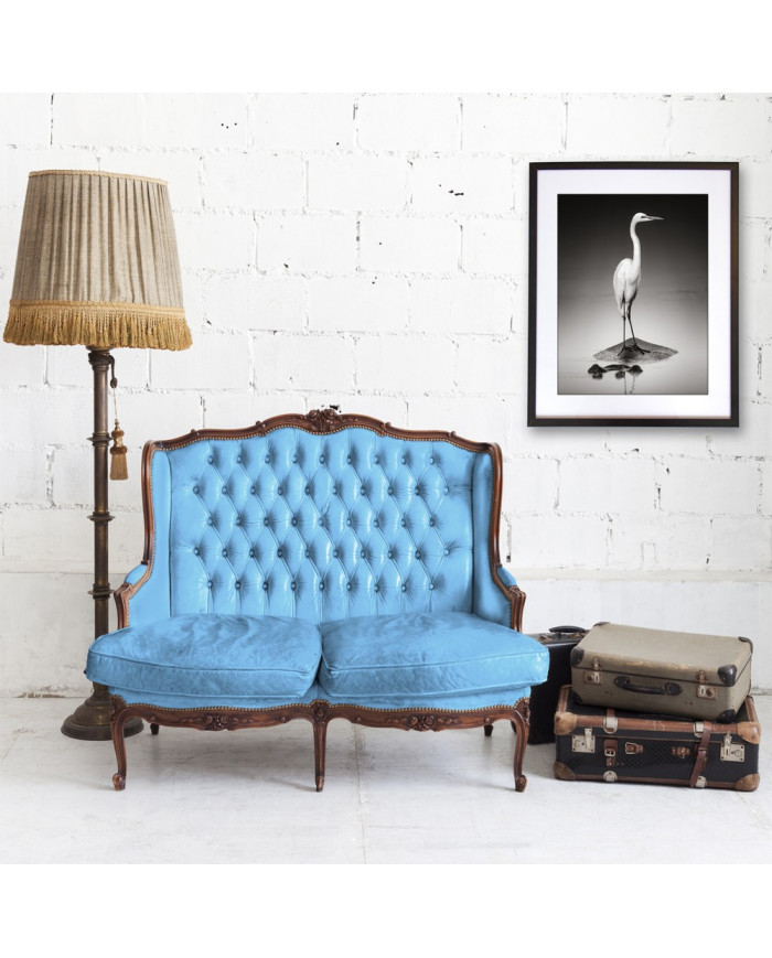 Gran garza blanca sobre un hipopótamo, Parque Nacional Etosha, Namibia