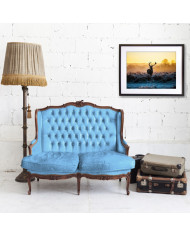 Ciervo rojo, Parque Nacional Thy, Dinamarca