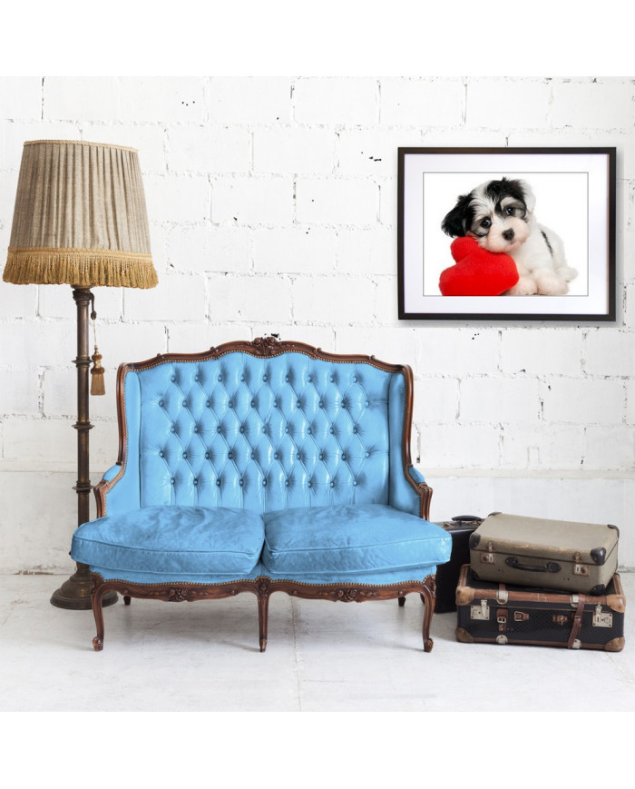 Cachorro de perro havanese