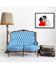 Cachorro de perro havanese