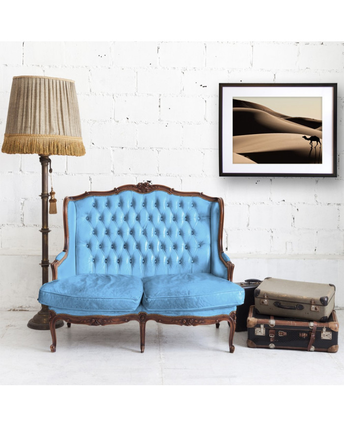 Camello en las dunas del desierto del Sahara