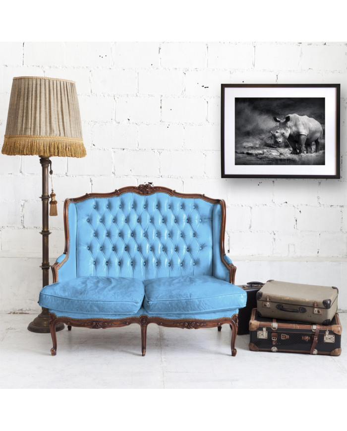 Rinoceronte blanco, Parque Nacional Garamba, Congo