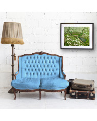 Cementerio chino a vista de pájaro