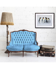 Grupo de pingüinos en la Antártida