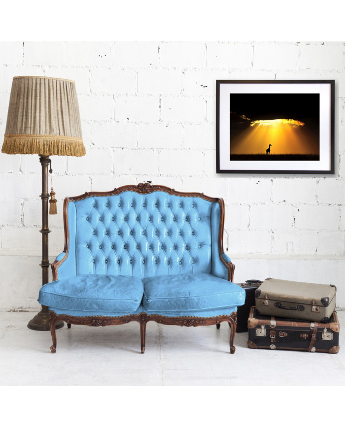 Jirafa al atardecer, Parque Nacional Masai Mara, Tanzania