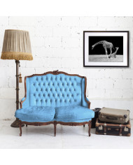 Jirafas Parque Nacional Masai Mara, Kenia