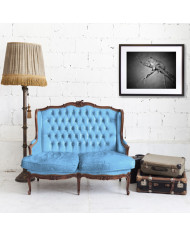 Leopardo, Parque Nacional Serengueti, Tanzania