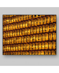 Linternas tradicionales de papel, Tokio, Japón