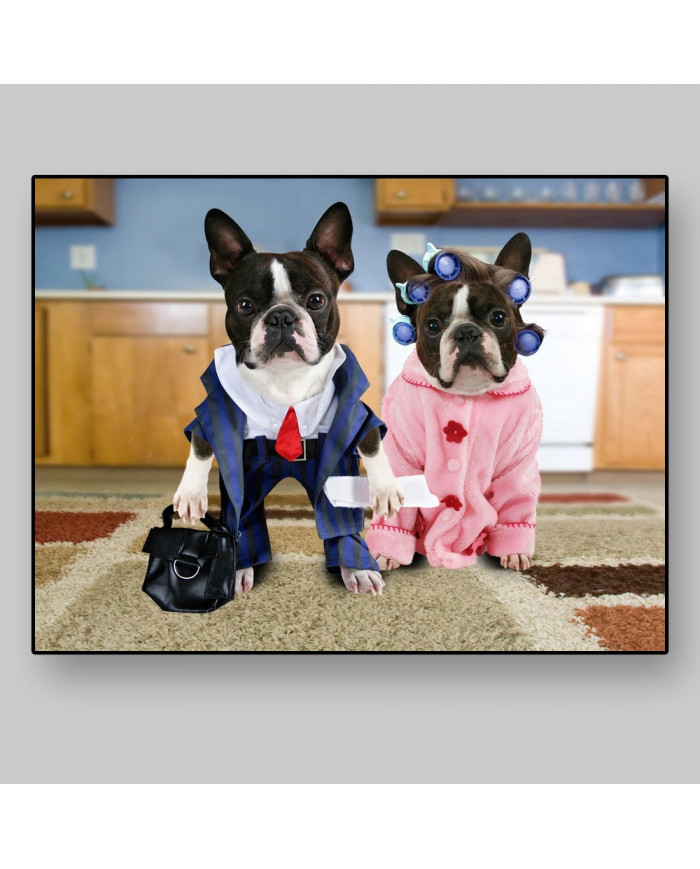 Pareja de boston terriers disfrazados