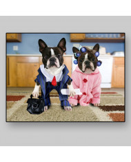 Pareja de boston terriers disfrazados