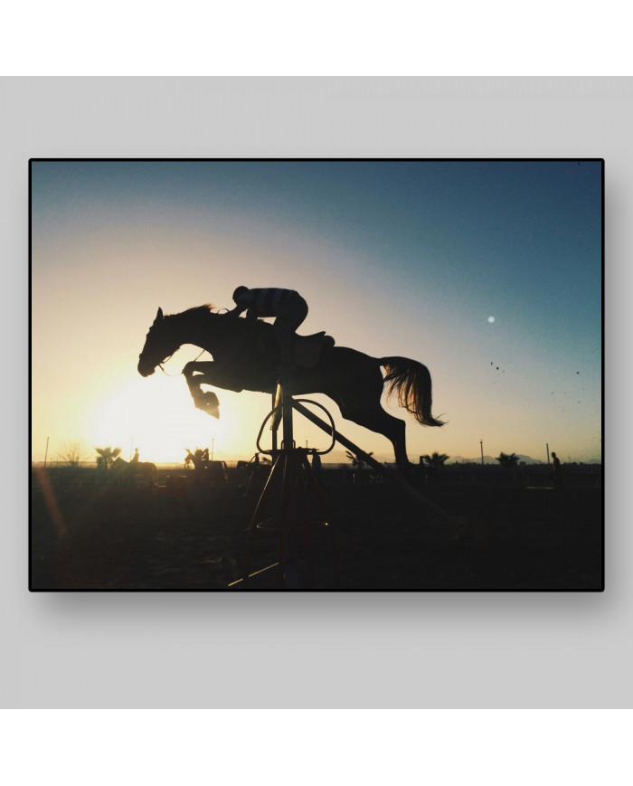 Competición ecuestre