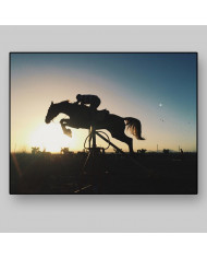 Competición ecuestre