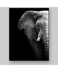 Retrato de un elefante, Parque Nacional Serengueti, Tanzania