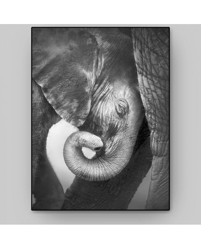 Bebé elefante consolándose con su madre, Parque Nacional Etosha, Namibia