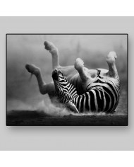 Cebra del Parque Nacional de Ngorongoro, Tanzania