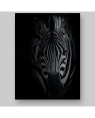 Retrato de una cebra  Parque Nacional Serengueti, Tanzania