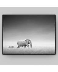 Elefante y cebra en el Parque Nacional de Etosha, Namibia
