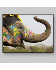 Elefante en el festival de Jaipur, India