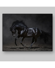 Caballo negro galopando