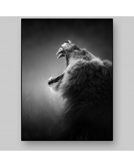 León, parque nacional Kruger, SudÁfrica