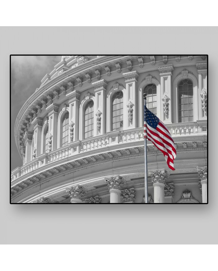 Vista del Capitolio, Washington DC, USA