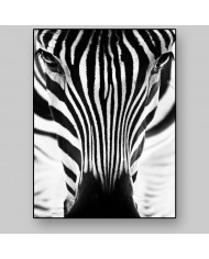 Retrato de un cebra, Parque Nacional Serengueti, Tanzania