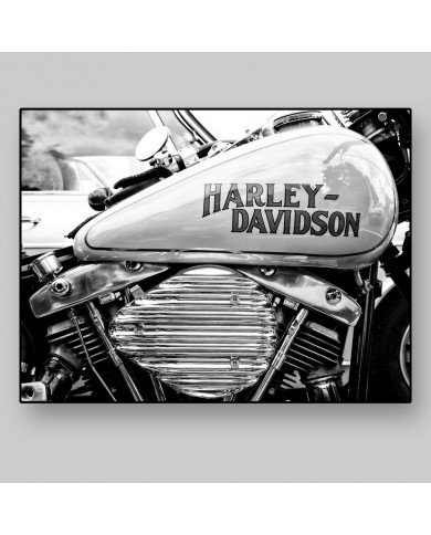 Detail of a Harley Davison, Paris, 11 May 2013