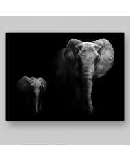 Retrato de un elefante con su cría,Parque Nacional Serengu