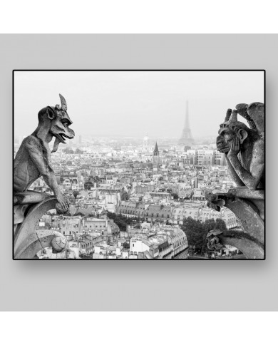 View of Paris from the gargoyles and chimeras of Notre Dame