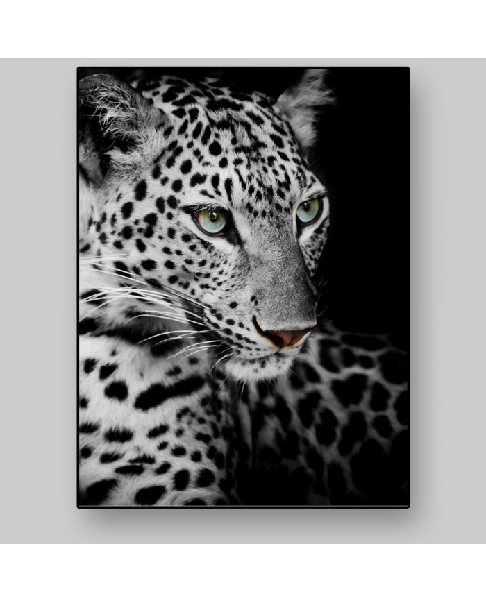 Retrato de un Leopardo