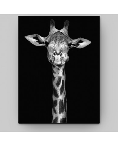 Portrait of a Giraffe, Nairobi, Kenya
