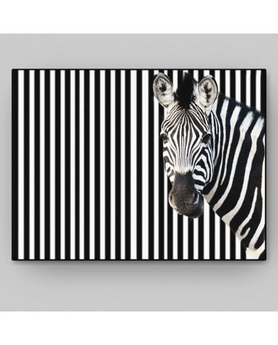 The camouflaged zebra
