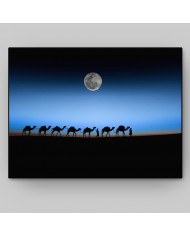 De camino por el Sahara, Marruecos