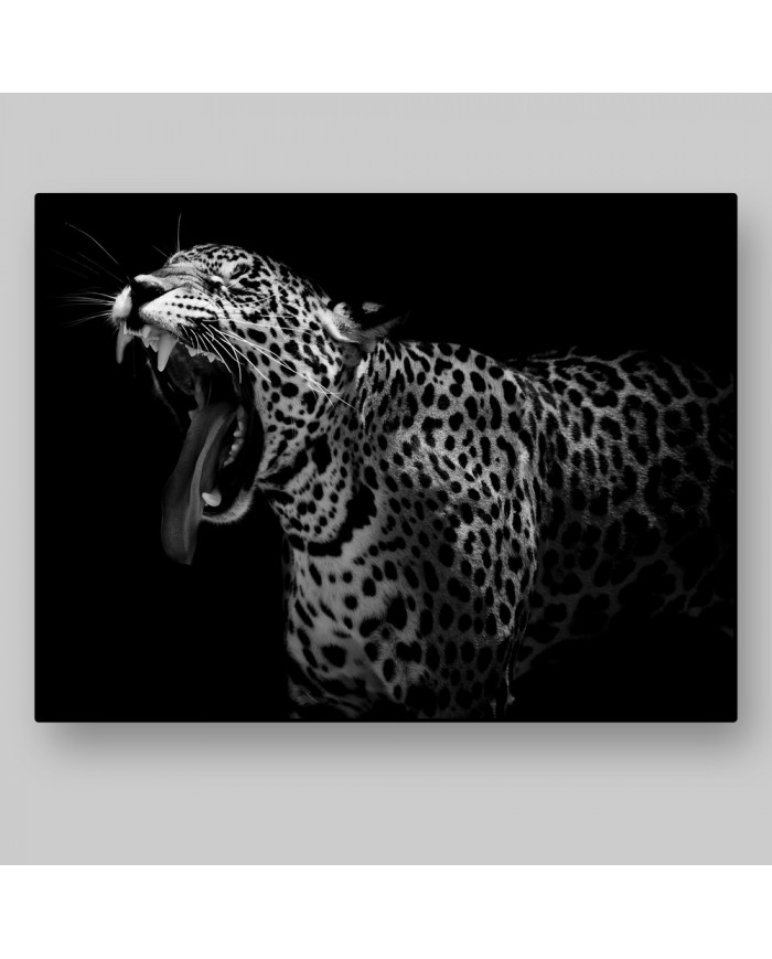 Retrato de un leopardo, Parque Nacional Serengueti, Tanzania