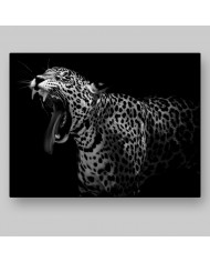 Retrato de un leopardo, Parque Nacional Serengueti, Tanzania