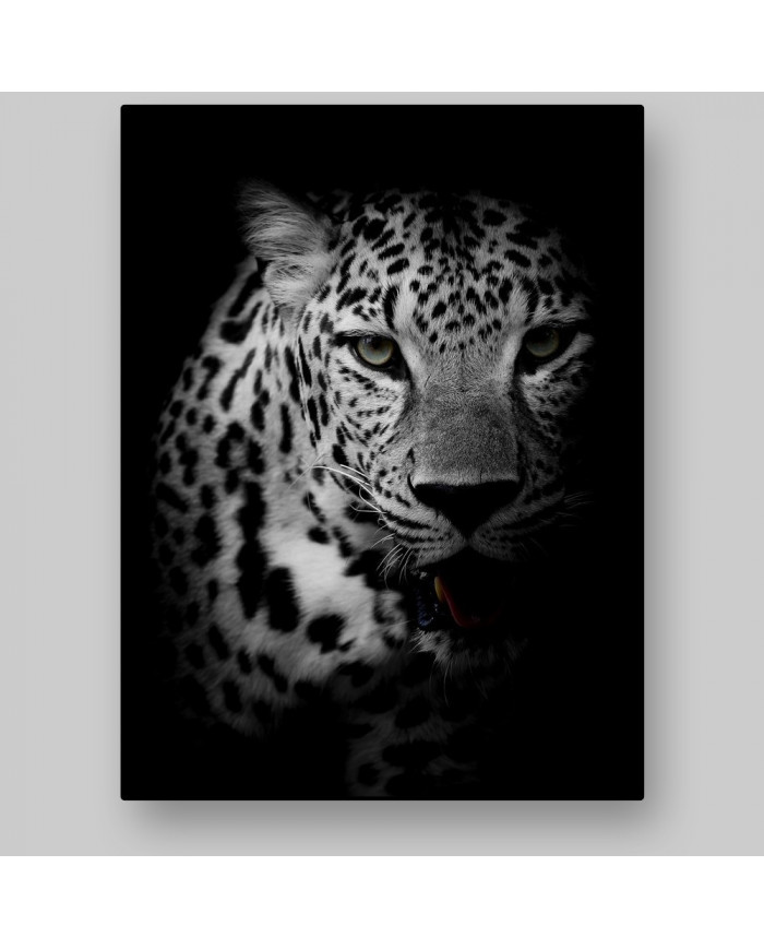 Retrato de un leopardo, Parque Nacional Kruger, SudÁfrica
