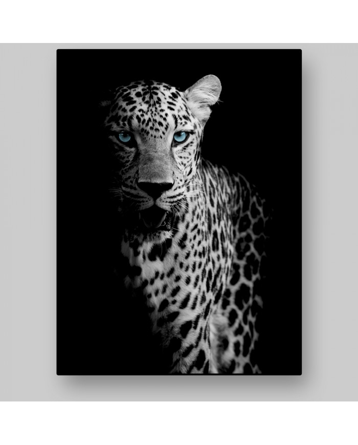 Retrato de un leopardo, Parque Nacional Chobe, Botswana