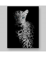 Retrato de un leopardo, Parque Nacional Chobe, Botswana