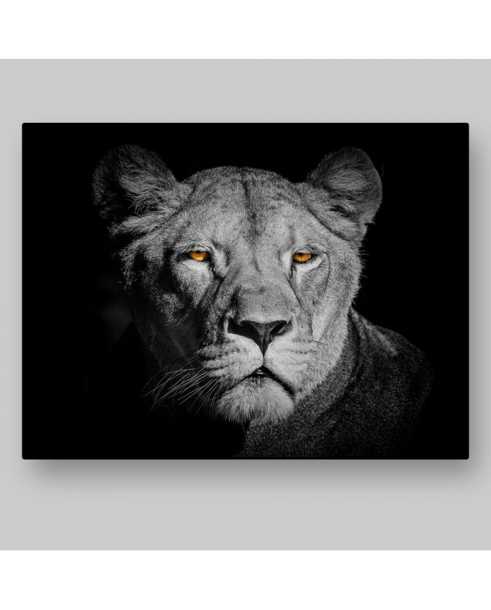 Leona,Parque Nacional Serengueti,Tanzania