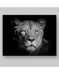 Leona,Parque Nacional Serengueti,Tanzania