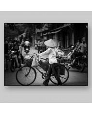Mercado vietnamita, Hanoi, Vietnam