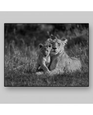 Leona con su cría, parque nacional Masai Mara, Kenia