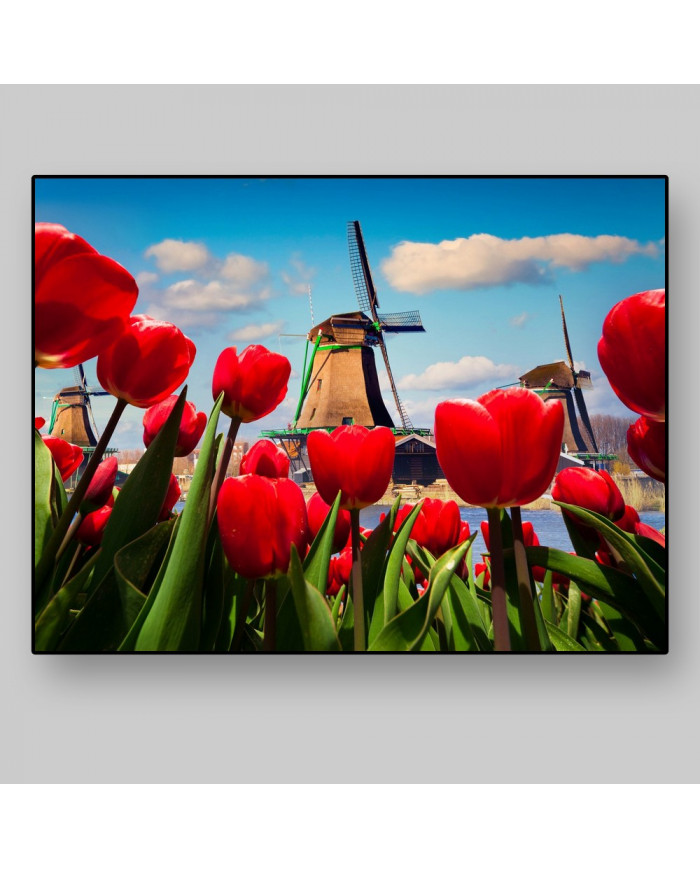 Molinos de viento,Holanda