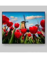 Molinos de viento,Holanda